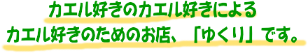 カエル好きのカエル好きによるカエル好きのためのお店、「ゆくり」です。