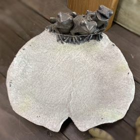 バードフィーダー